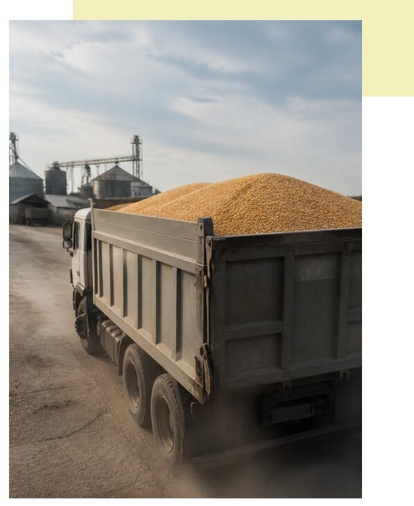 Перевозка сельхозпродукции навалом в Салехард по цене от 3211 р. | Агросервис-Слх